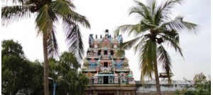 வெங்கனூர்